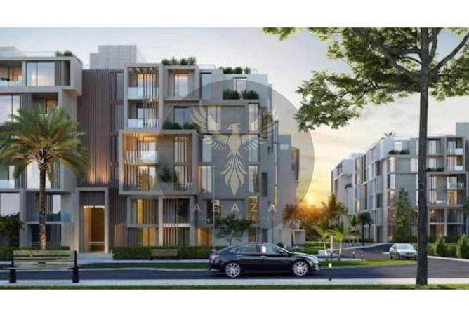 8422383 - Property Image 3