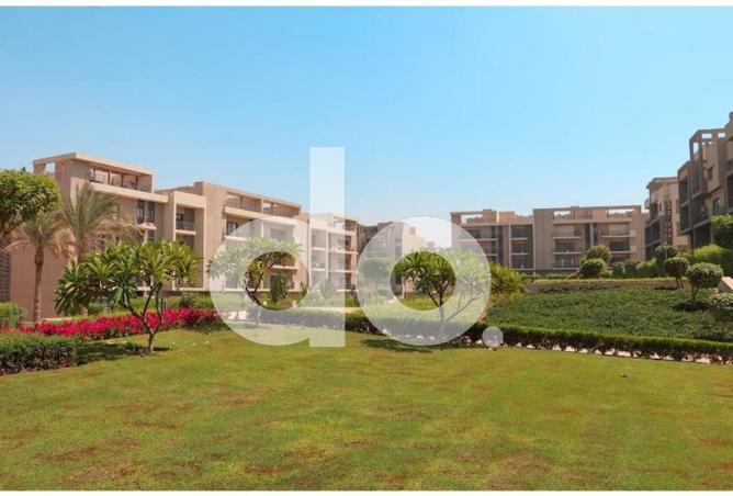 81572716 - Property Image 2