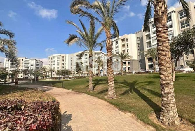 8577053 - صورة العقار 3