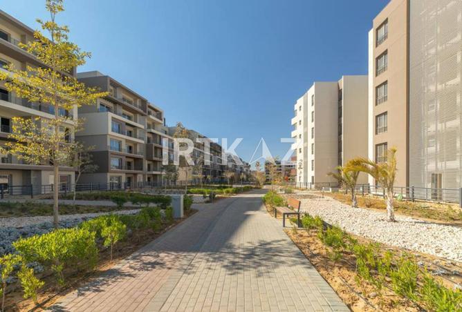 56494630 - Property Image 3