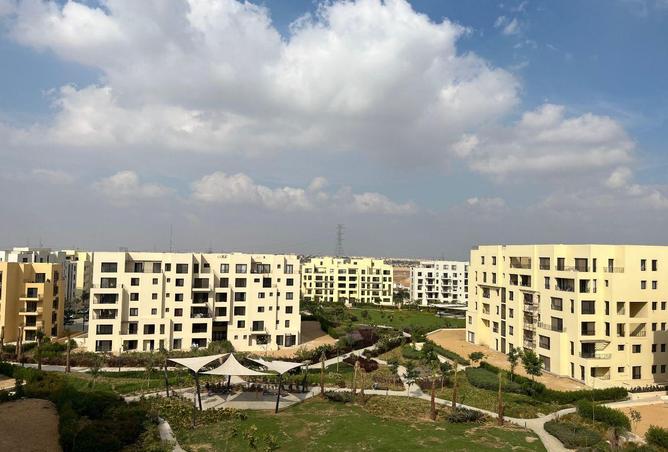 66966382 - Property Main Image