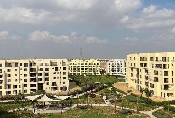 66966382 - Property Image 2