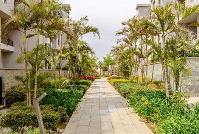 58241447 - Property Image 3