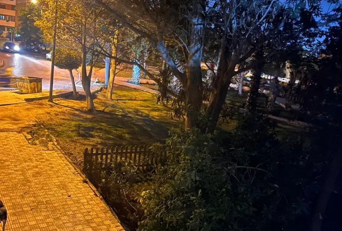 87521030 - صورة العقار 3