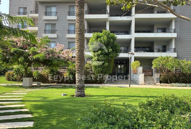 56421019 - Property Image 3