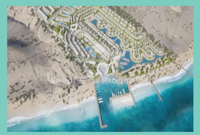 66174536 - صورة العقار 3