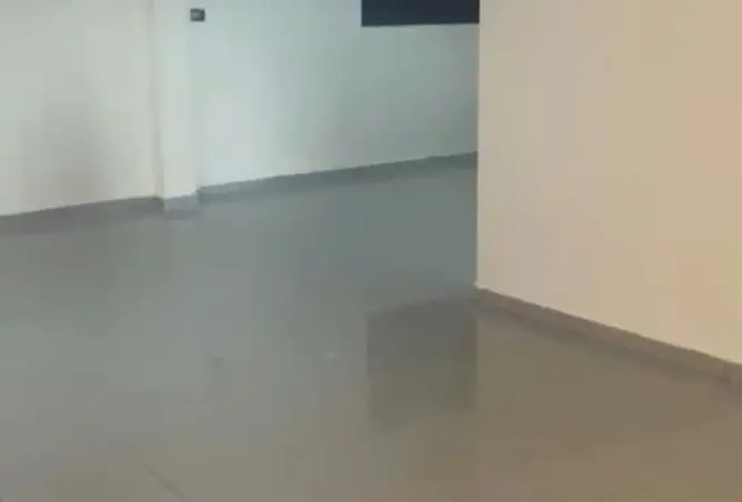 117783500 - صورة العقار 2