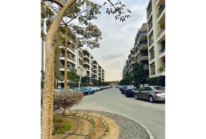 55512396 - Property Image 2