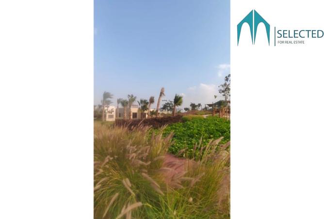 8447259 - صورة العقار 2