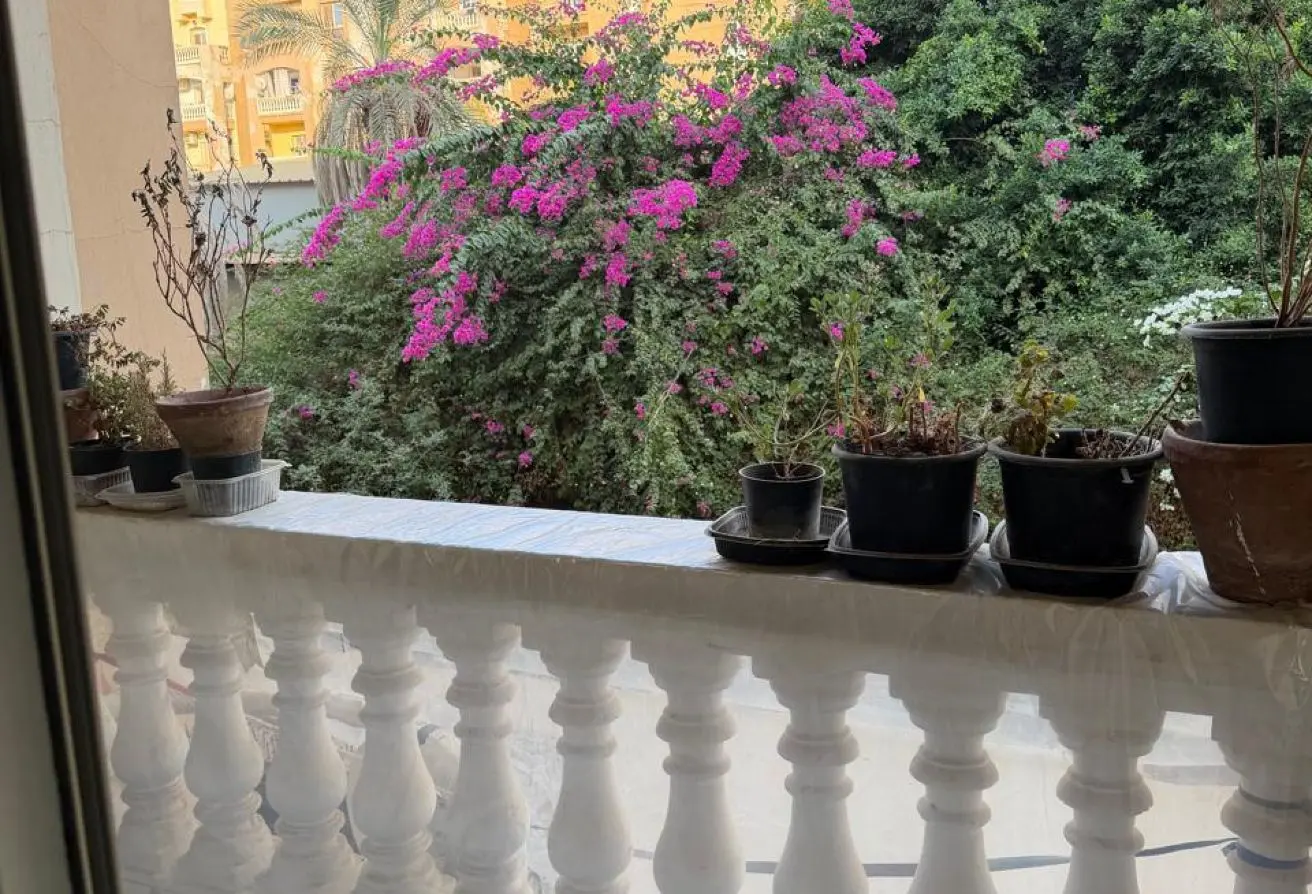 115163437 - الصورة الرئيسية للعقار