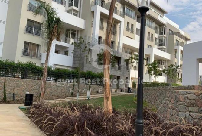 62884082 - Property Image 3