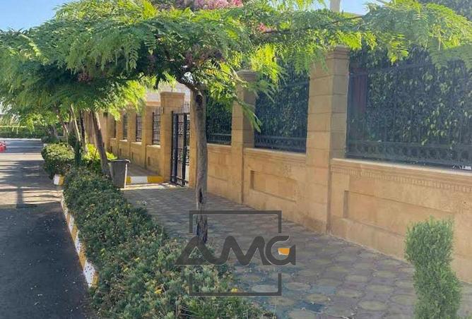 55250262 - صورة العقار 3