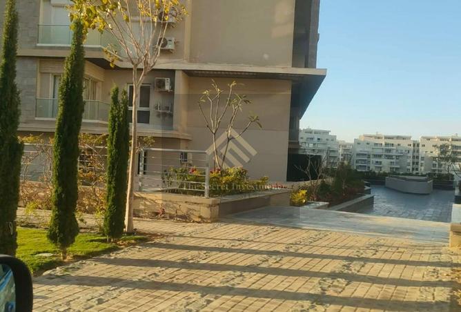 80794380 - Property Image 3