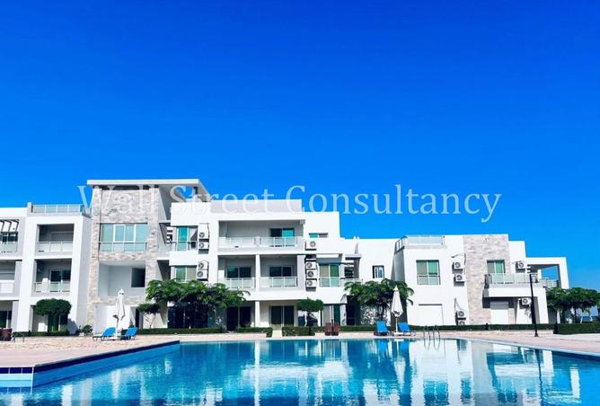 99115590 - Property Image 3