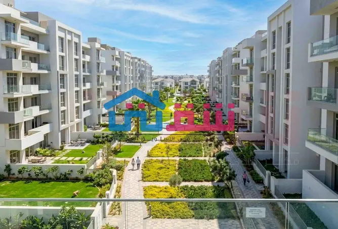 117533530 - Property Image 3
