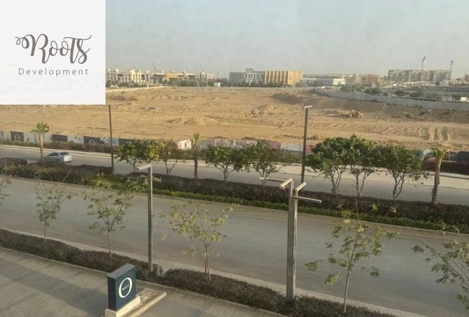 8634375 - Property Image 3