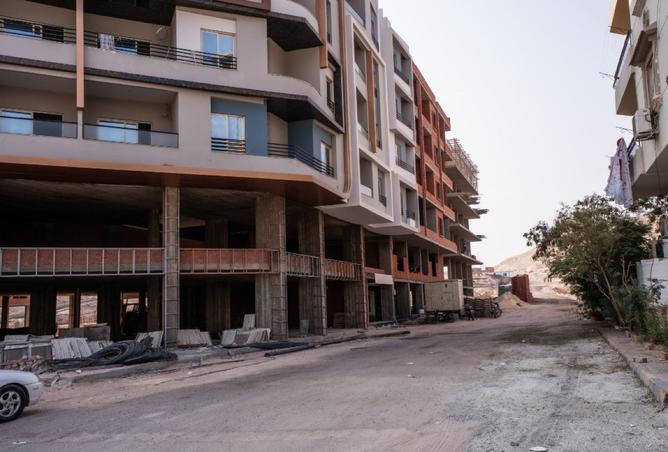 61195184 - Property Image 3