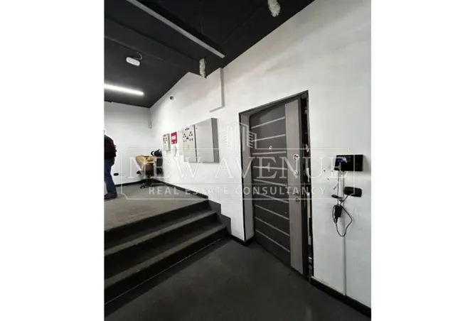 119588298 - Property Image 3