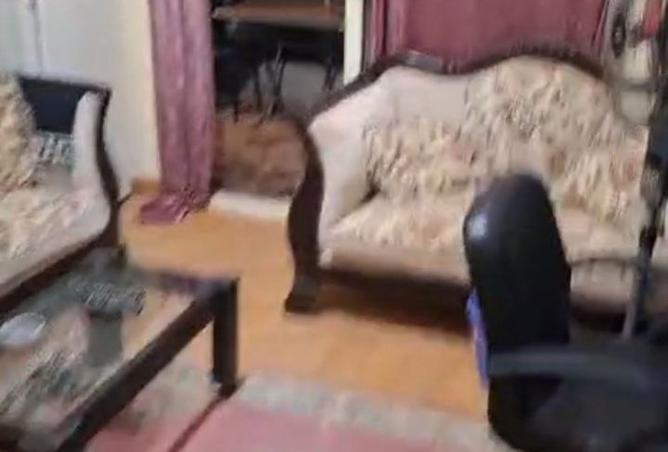 107404731 - صورة العقار 3