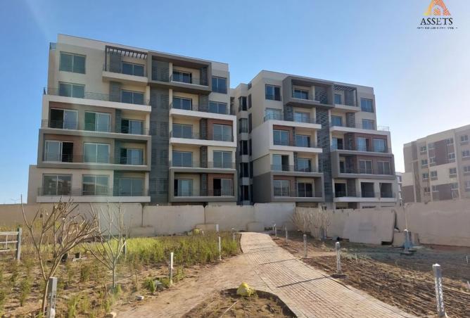 8444407 - Property Image 3