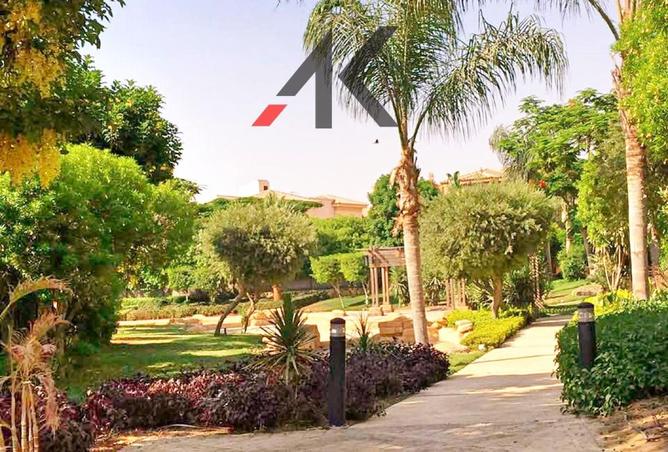 54745576 - Property Image 3