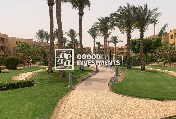 57241443 - Property Image 3