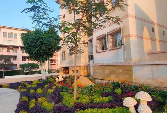 65153593 - الصورة الرئيسية للعقار