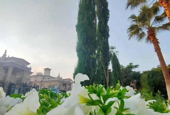 65153593 - صورة العقار 3