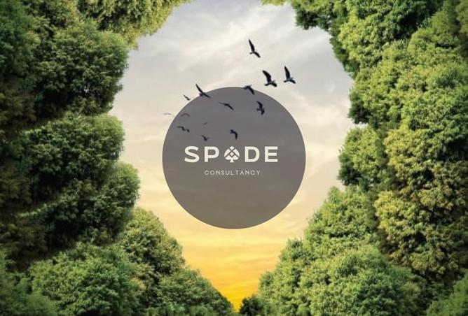 70629071 - صورة العقار 3