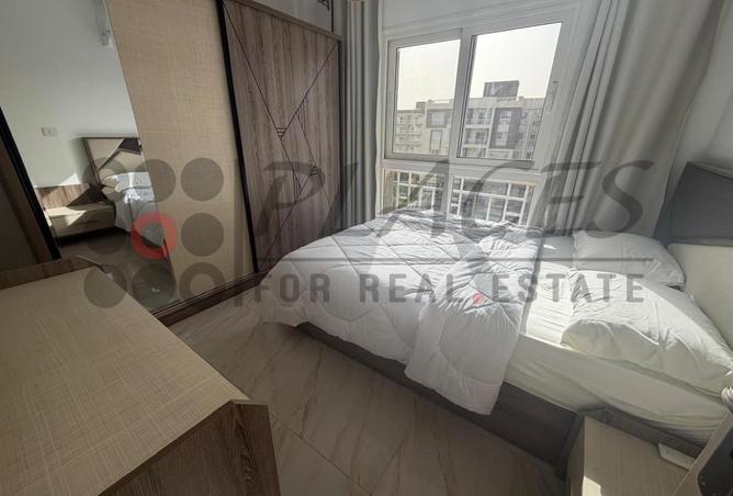 74578455 - Property Image 3