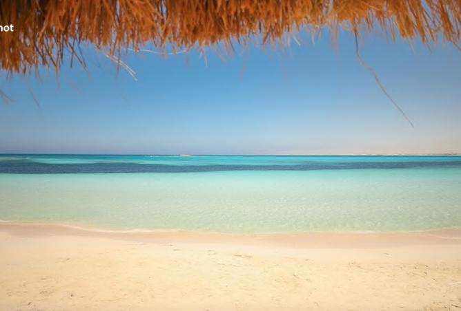 97421765 - صورة العقار 3