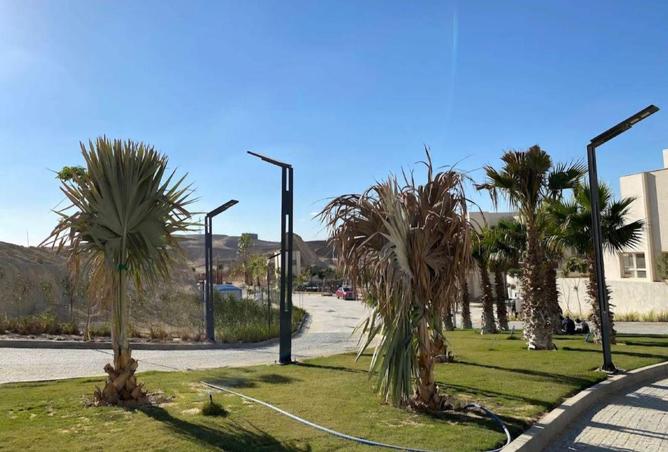 55993508 - صورة العقار 3