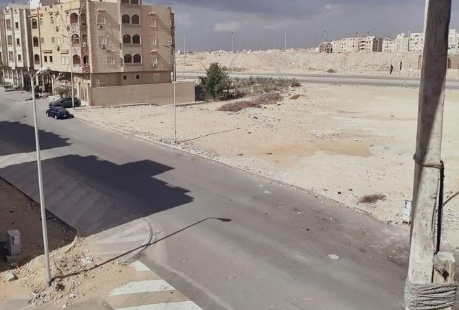 53990025 - Property Image 2