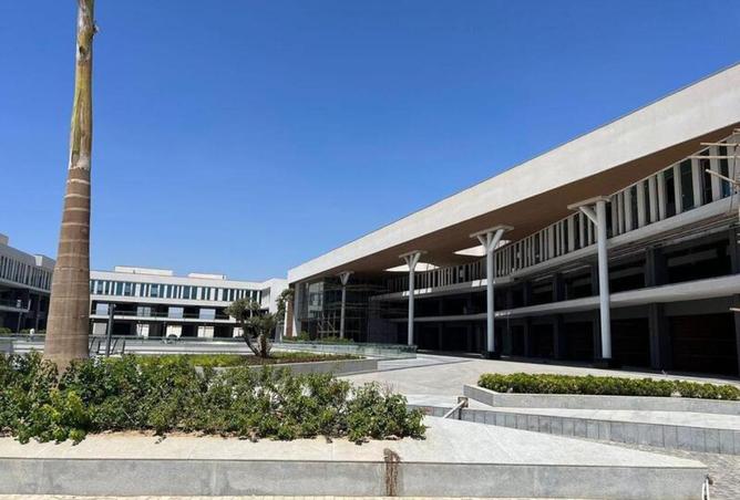 57997215 - صورة العقار 3