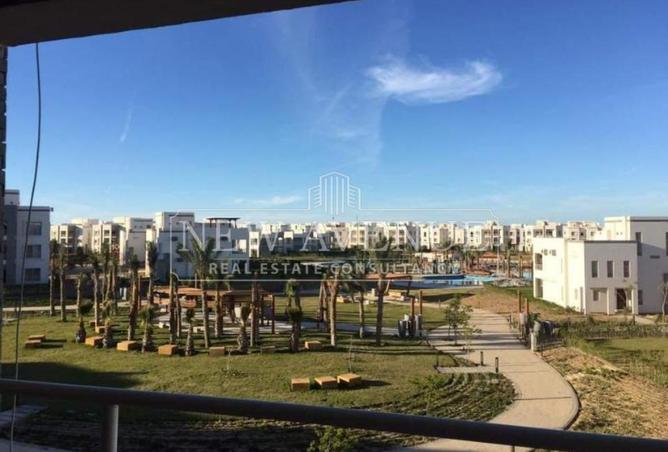 99106287 - صورة العقار 3