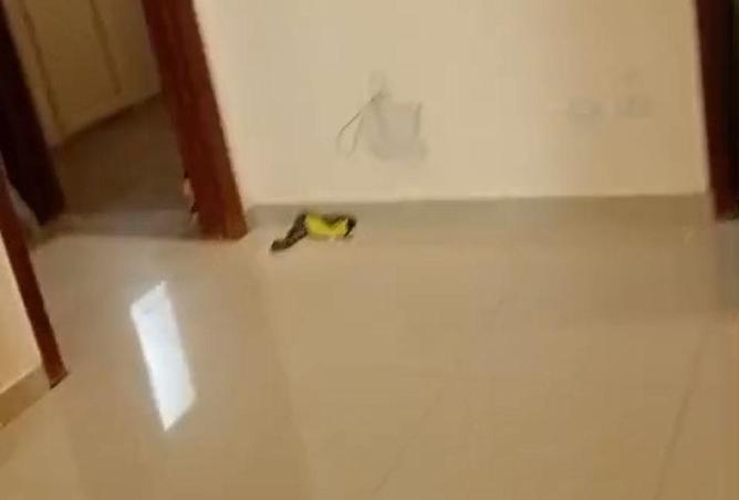 8670384 - صورة العقار 2