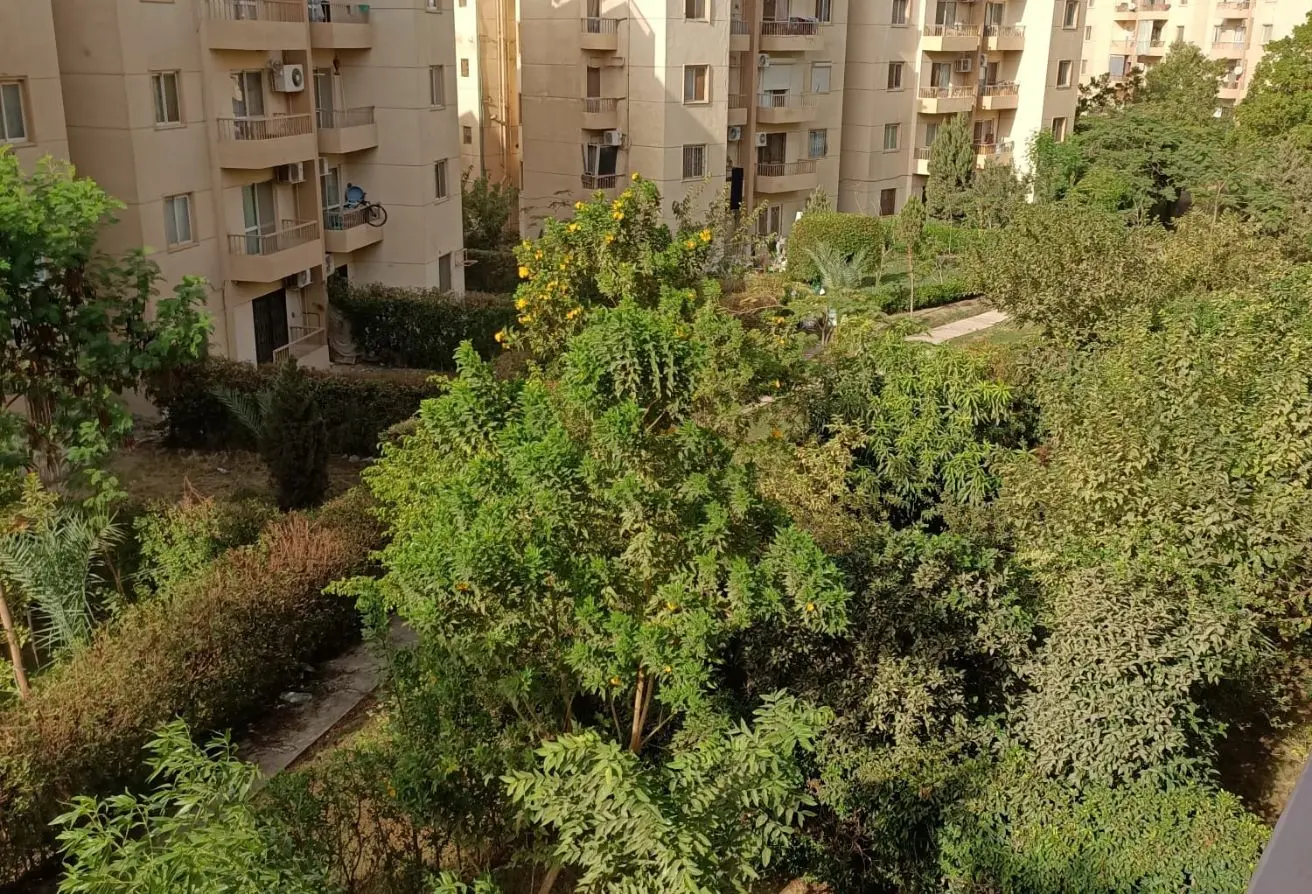 109060344 - الصورة الرئيسية للعقار