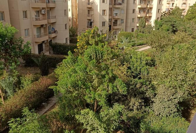 109060344 - الصورة الرئيسية للعقار