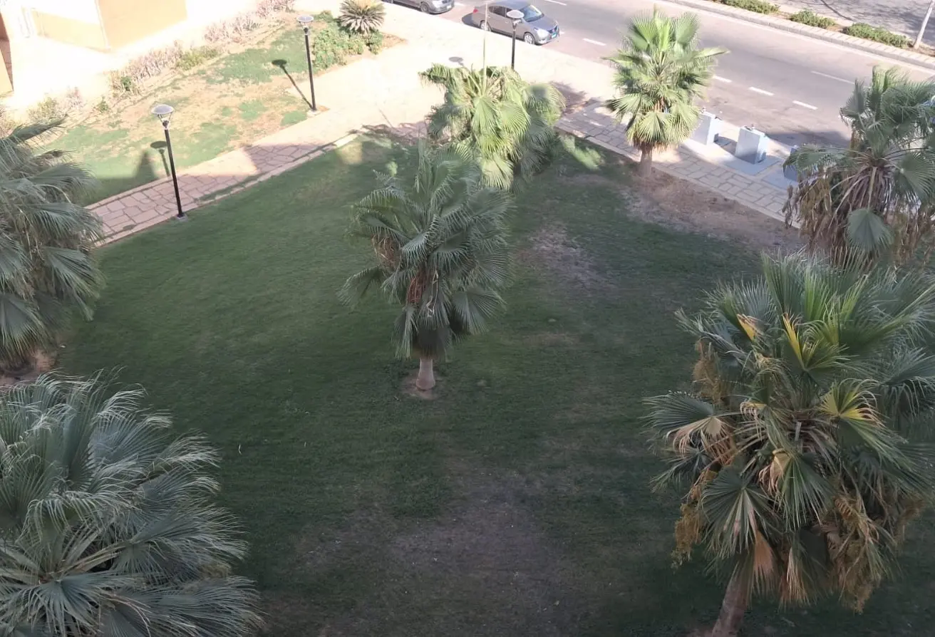 118541407 - الصورة الرئيسية للعقار