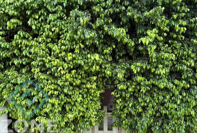 8556869 - صورة العقار 2