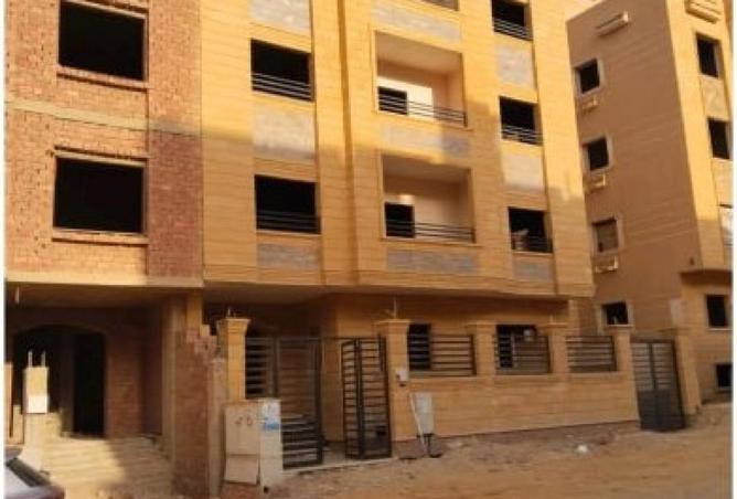 55509091 - Property Image 3