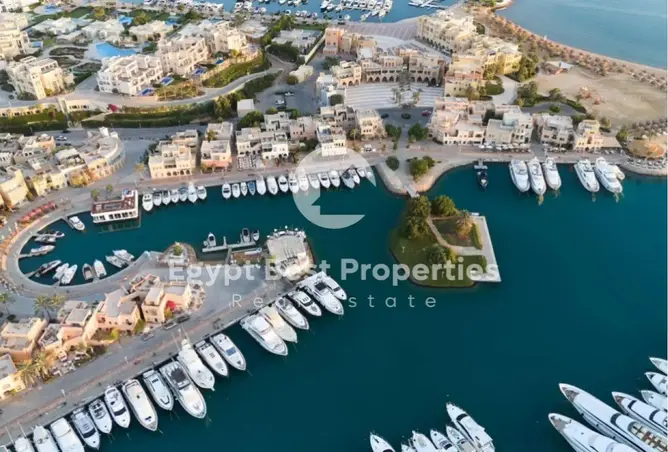 116755501 - Property Image 3