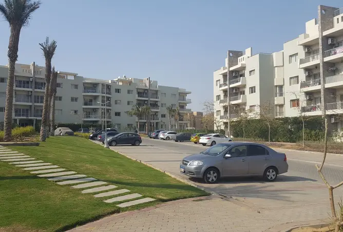 110742209 - Property Image 3