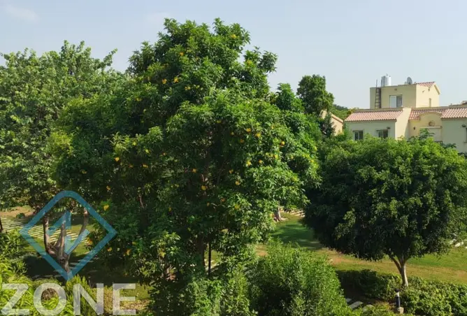 109918834 - صورة العقار 2