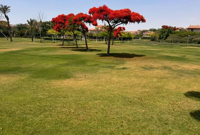 64141377 - صورة العقار 3