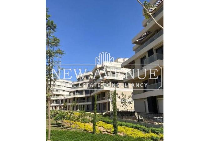 8408457 - Property Image 3