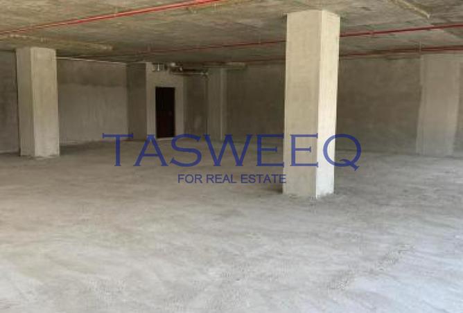 66686679 - صورة العقار 3