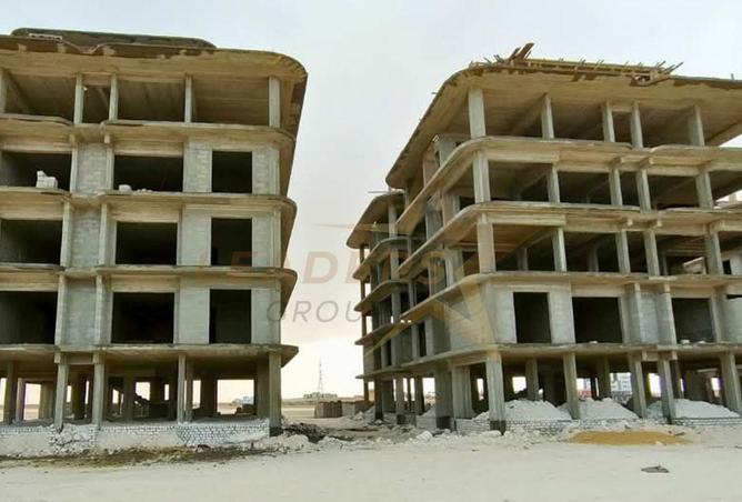 73769979 - Property Image 2
