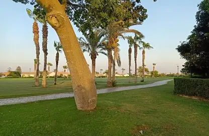 فيلا - 3 غرف نوم - 3 حمامات للبيع في الربوة - كمبوندات الشيخ زايد - الشيخ زايد - الجيزة