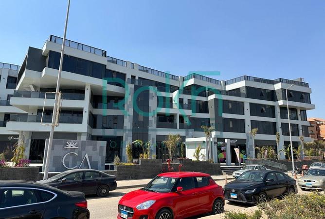 98817913 - Property Image 3